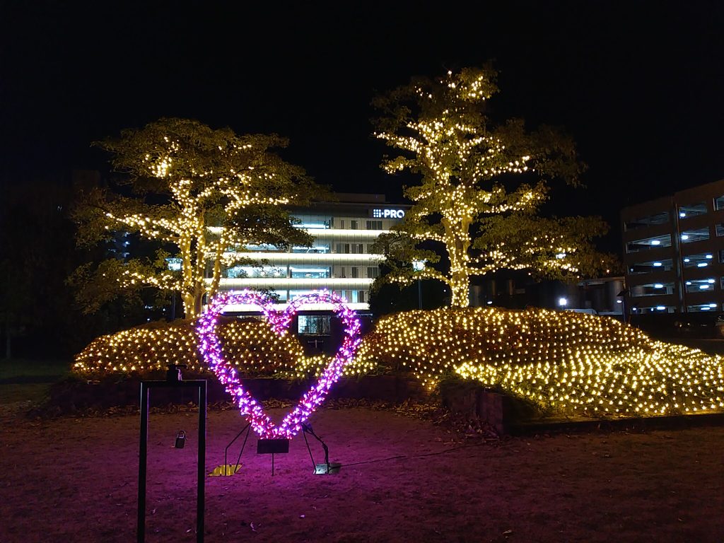 夜にライトアップされた様子